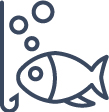 PECHE