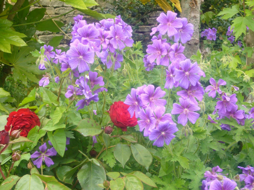 photo 34