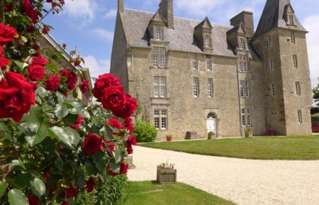 Bed & Breakfast no.5529 Saint-Pierre-du-Mont - Calvados - photo