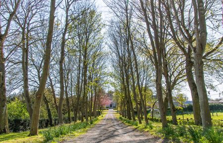 Gite n&deg;3329 Ryes - Calvados - photo